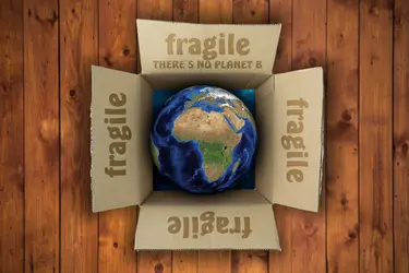 Weltkugel in einem Pappkarton mit der Aufschrift &quot;Fragile&quot;