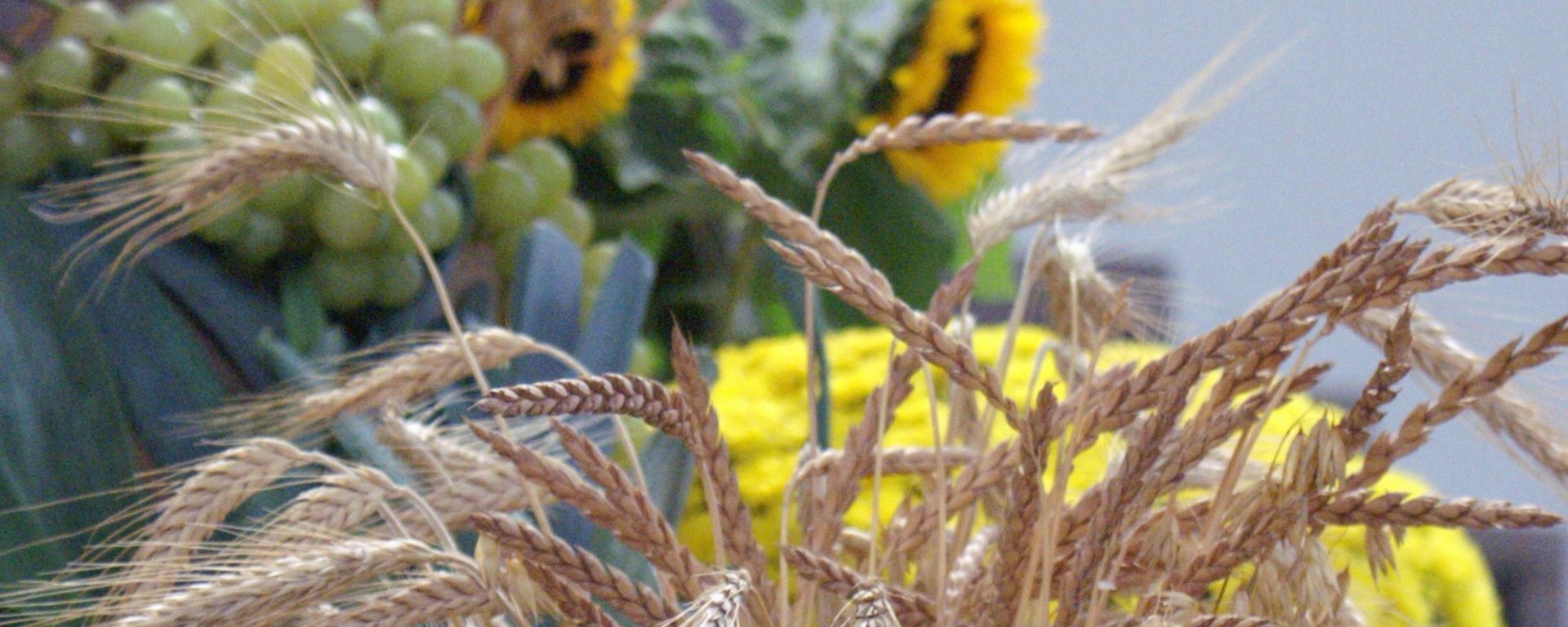 Ein Bund Getreideähren im Mittelpunkt, daneben bzw. dahinter verschiedene Gemüsesorten, Weintrauben, Sonnenblumen und ein Strauß gelber Blumen