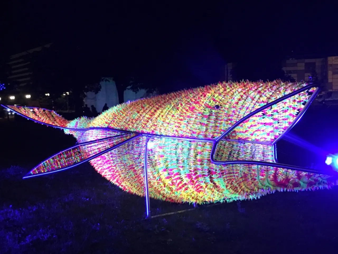 Foto einer Kunstinstallation von einem bunten Fisch, ca ca. 5 Metern lang, von innen beleuchtet